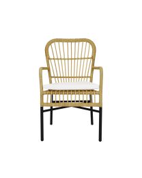 Buiten Fauteuil Inclusief Gratis Kussen