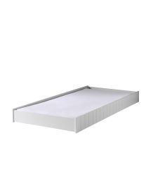 Robin Rolbed Wit
