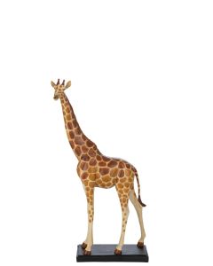 Giraf Poly Natural Medium